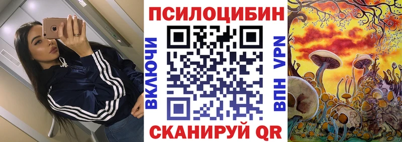 Псилоцибиновые грибы MAGIC MUSHROOMS  OMG онион  Горно-Алтайск 